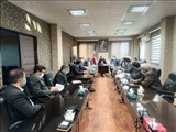 نشست مشترک هیئت های اجرایی و نظارت بر انتخابات در شهرستان رباط کریم