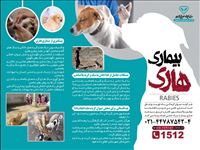 هشدار ونکات بهداشتی وپیشگیری از هاری