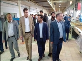 بازدید فرماندار رباط کریم از کارخانه بیسکویت گرجی