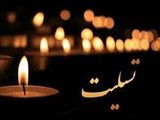 پیام تسلیت دکتر امید احمدی فرماندارشهرستان رباط کریم در پی حادثه تروریستی در حرم شاهچراغ