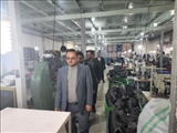  فرماندار در جهت رفع موانع تولید از یک واحد تولیدی کفش در شهرستان رباط کریم بازدید کرد