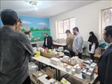 بازدید فرماندار شهرستان رباط‌کریم از اردوی جهادی پزشکی